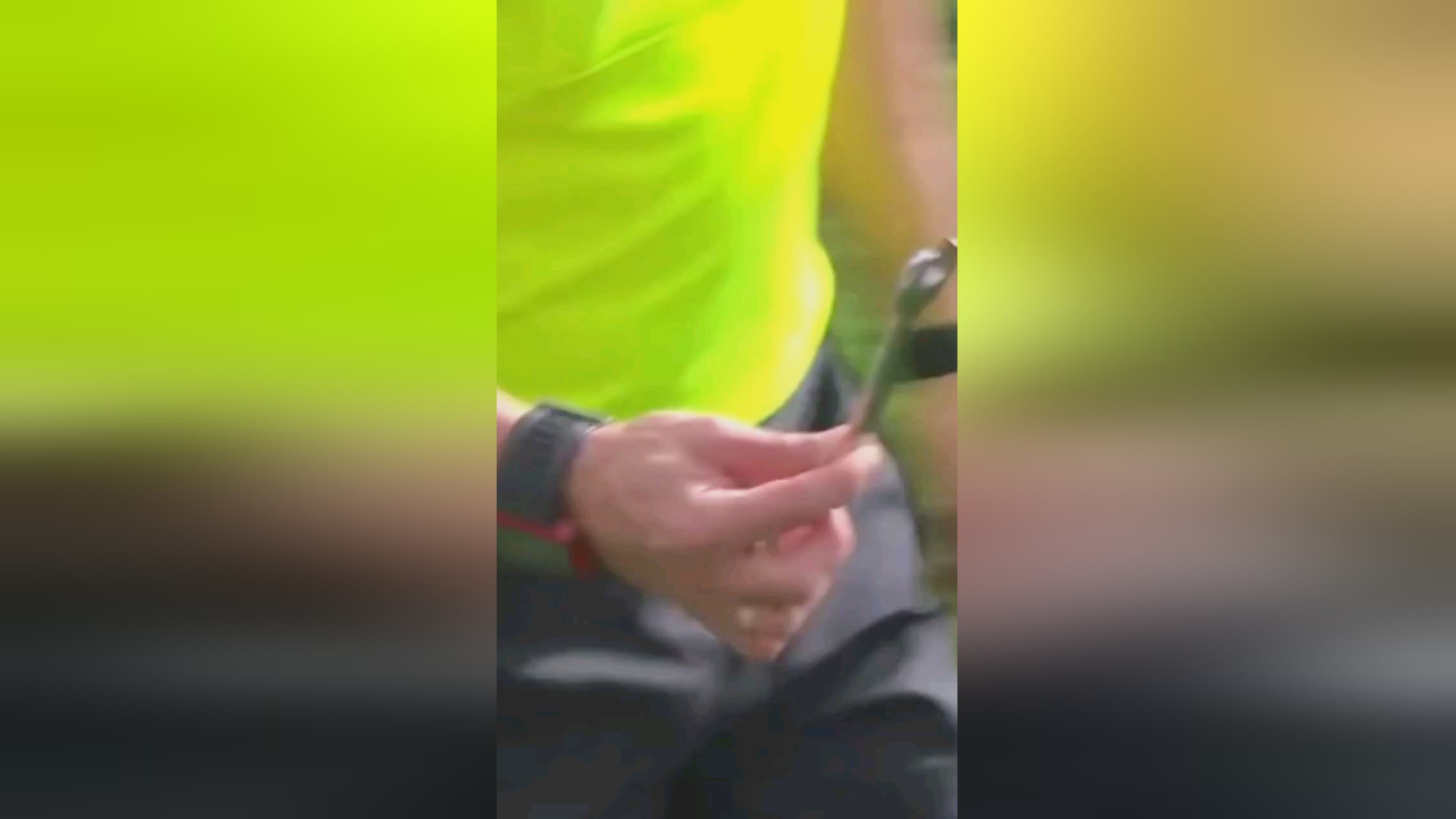 解到帆